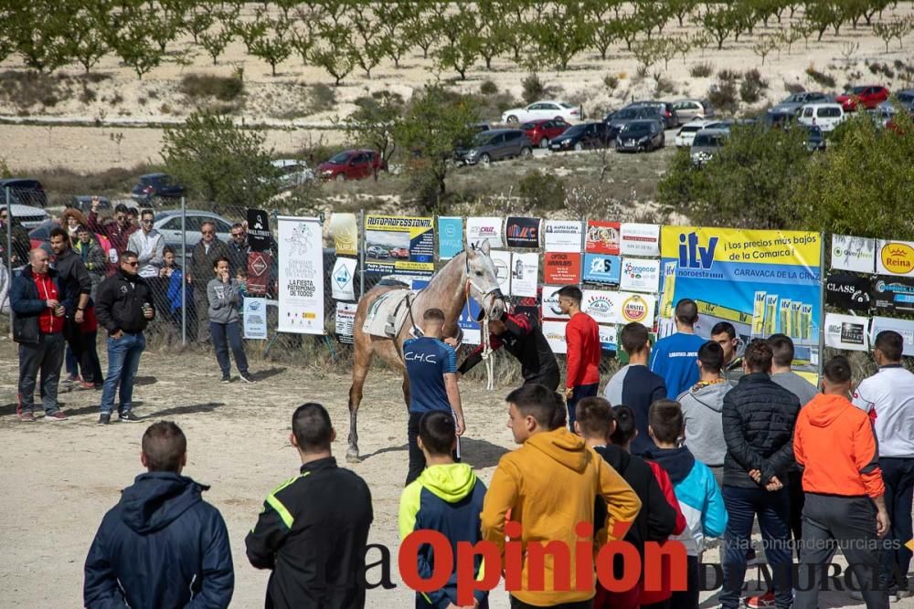 Carrera de entrenamiento de los Caballos del Vino