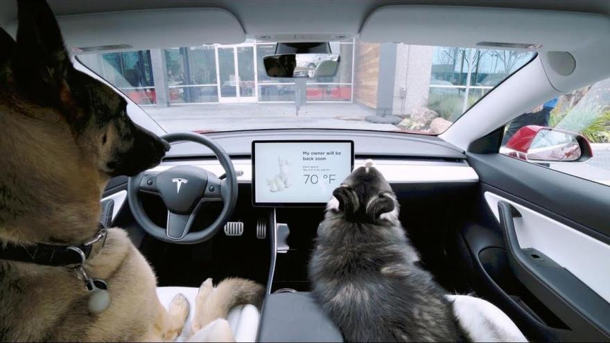 Tesla lanza el “Dog Mode” para proteger a nuestras mascotas