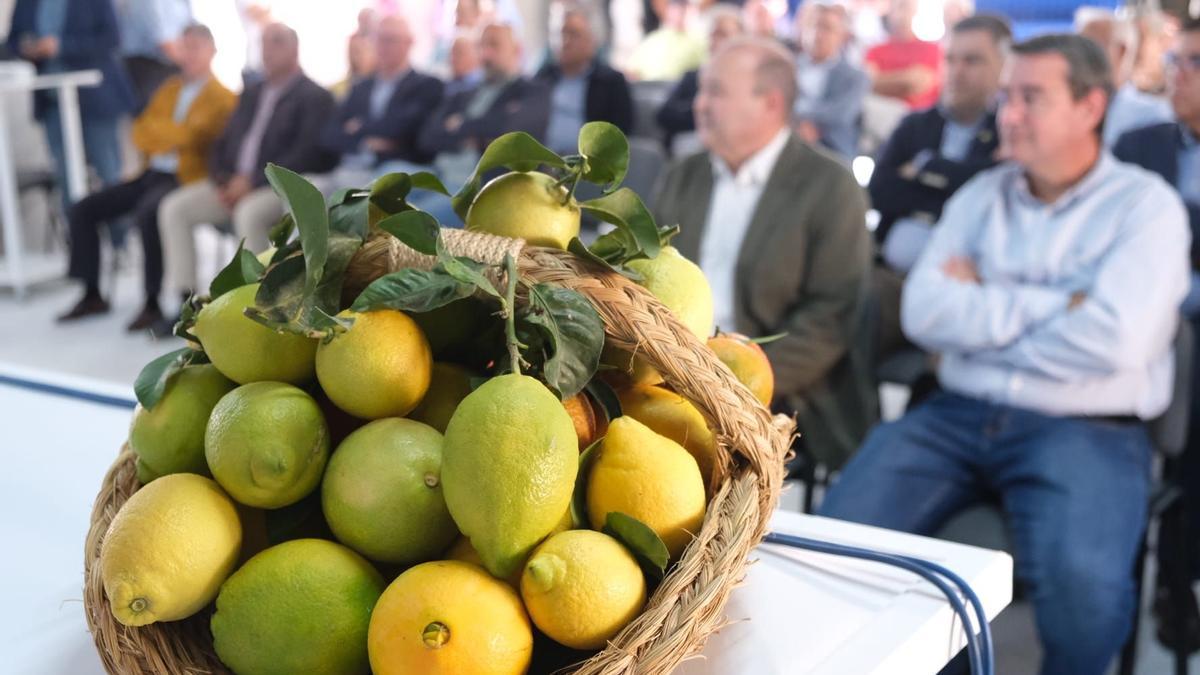 Un momento de la jornada celebrada este martes en el centro logístico de Riegos de Levante Margen Derecha en Rojales.