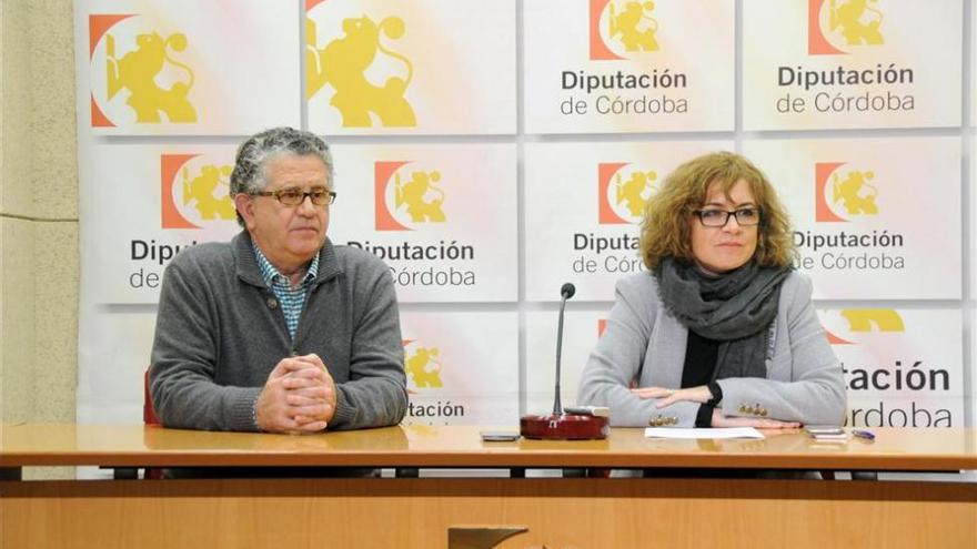 La Diputación aumenta de 66.000 a 220.000 el presupuesto de la Fundación Botí