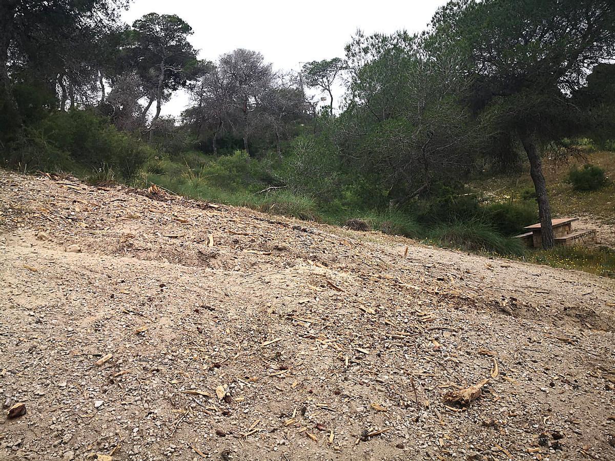 Desbroce en el parque El Recorral de Rojales