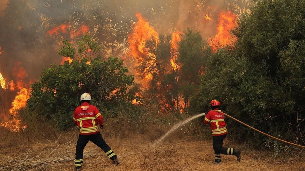 Bomberos tratan de extinguir las llamas de un incendio en el bosque.