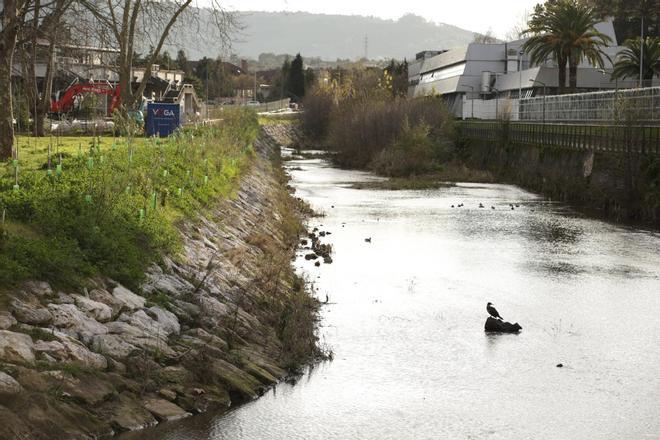 El avance de las obras de renaturalización del río Piles, en imágenes