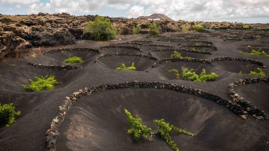 Así es la bodega canaria que desafió a un volcán y lleva 250 años resistiendo