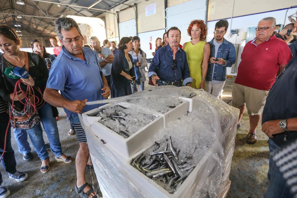 Jornadas Profesionales de Pesca Turismo en Torrevieja