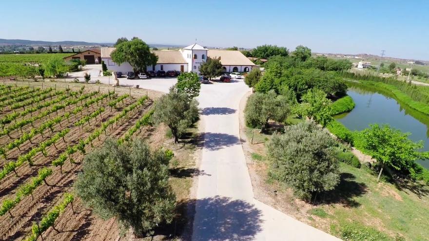 Una de las múltiples bodegas presentes en el término municipal de Requena.