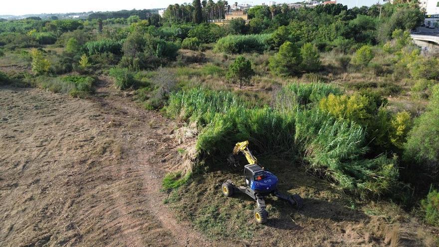 La Confederación Hidrográfica del Júcar trabaja en la restauración del barranco del Carraixet a su paso por Bétera
