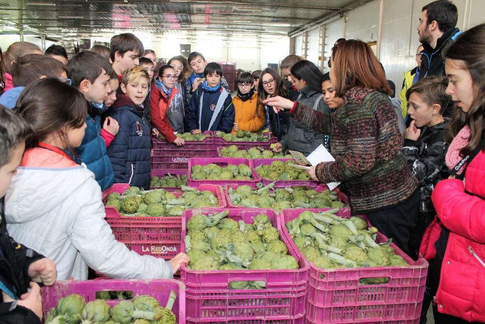 Escolares visitan la huerta y una subasta agrícola