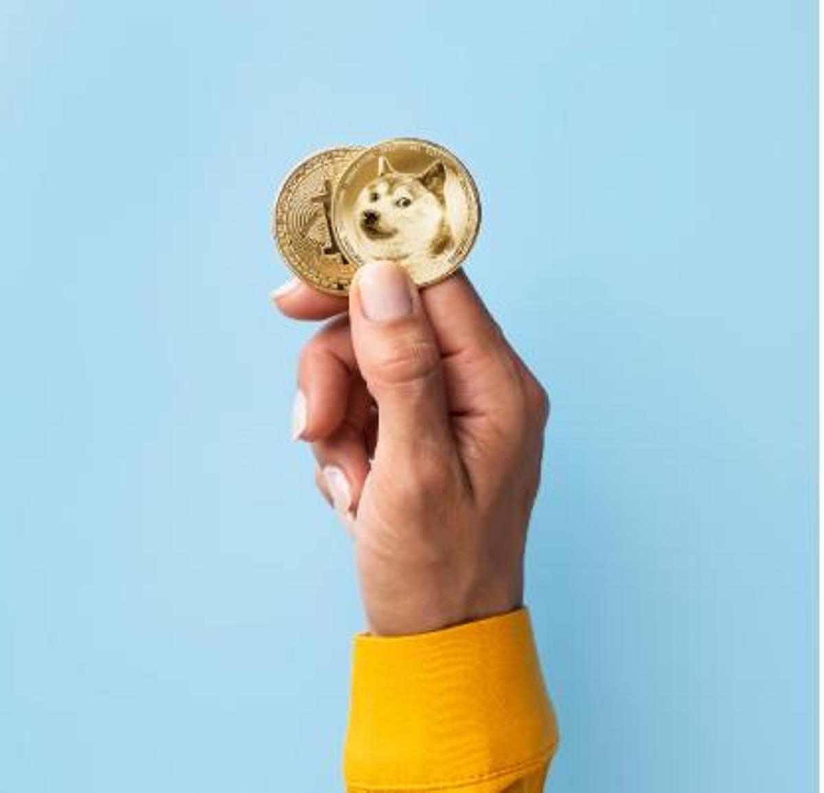 Quant m'hauré de gastar per tenir la meva mascota en condicions?