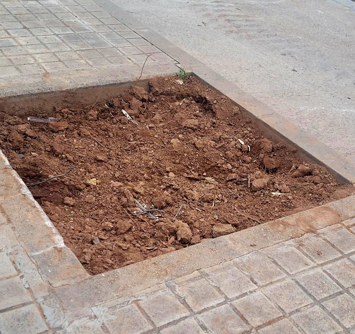 Espacio que ocupaba un árbol y no se ha replantado.