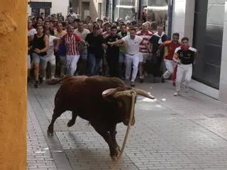 Las imágenes más impactantes del torito del alba de Benavente
