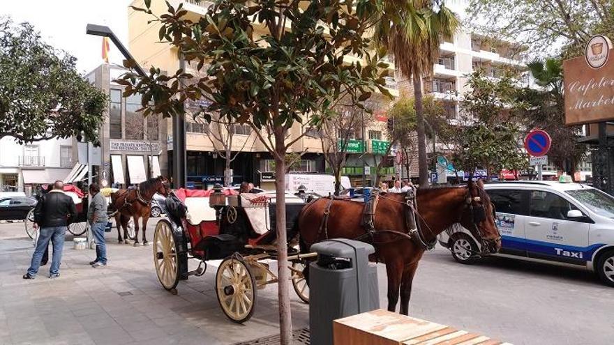 Un coche de caballos de Marbella.