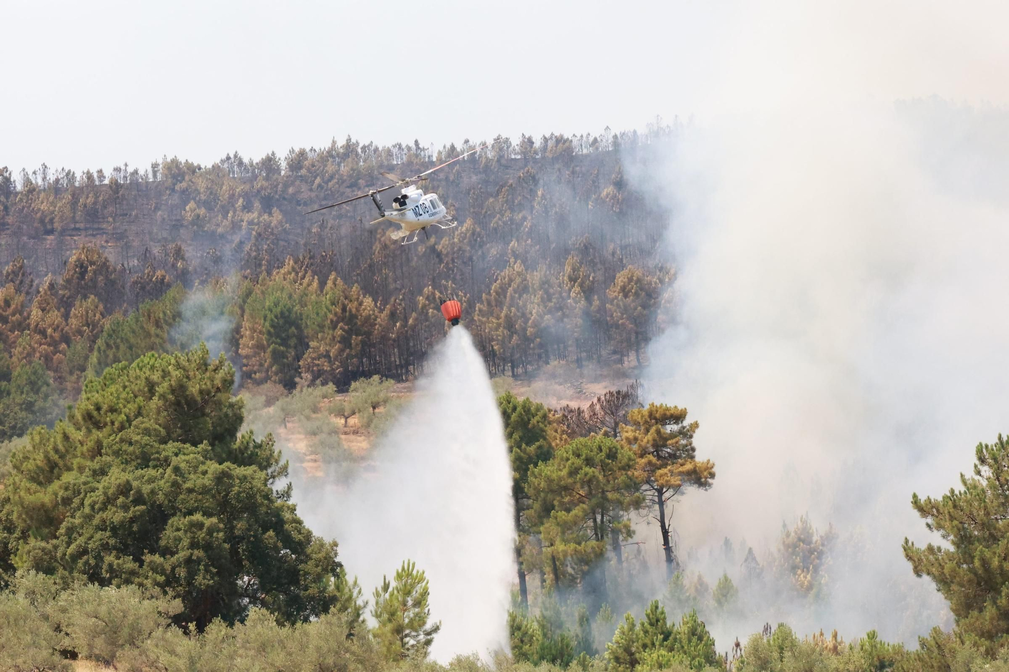 Fotogalería | Así se está desarrollando el incendio en Las Hurdes