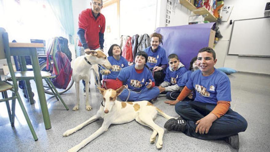 Los voluntarios de la unidad de promoción y terapias de la Associació de Criadors des Ca Eivissenc, con dos podencos y un grupo de alumnos de educación especial.