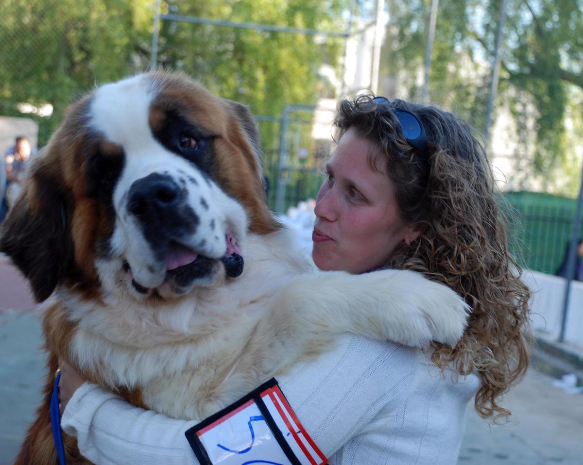 Imagen de la fiesta del Día del Perro de un San Bernardo, con su dueña
