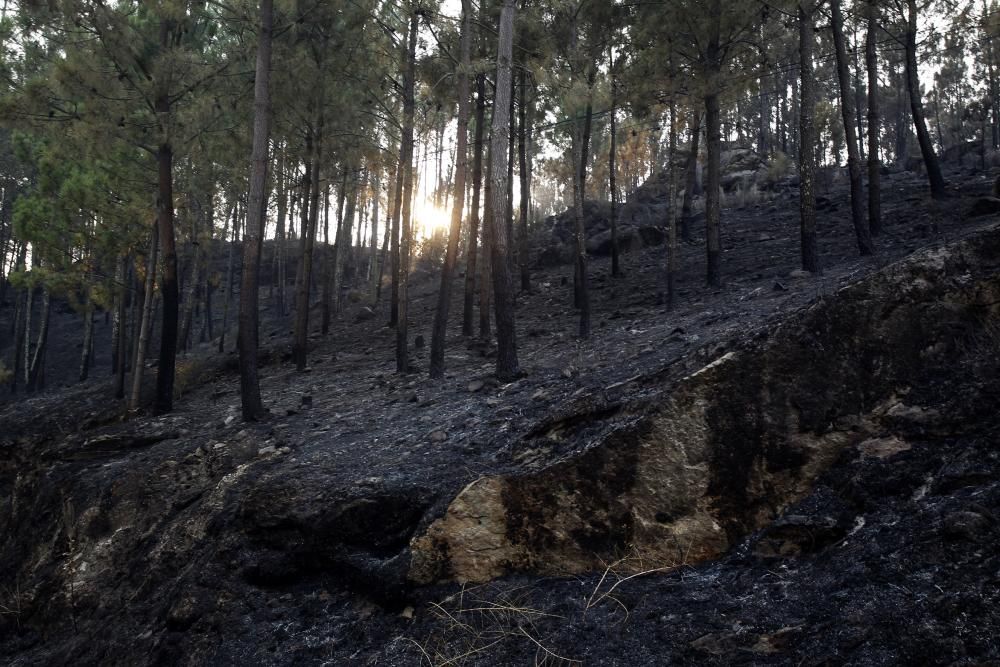 Los medios de lucha contra incendios han conseguido estabilizar el fuego y ha sido desactivada la situación de alerta. Alberto Núñez Feijóo estuvo ayer en Arbo para seguir las labores de los profesion