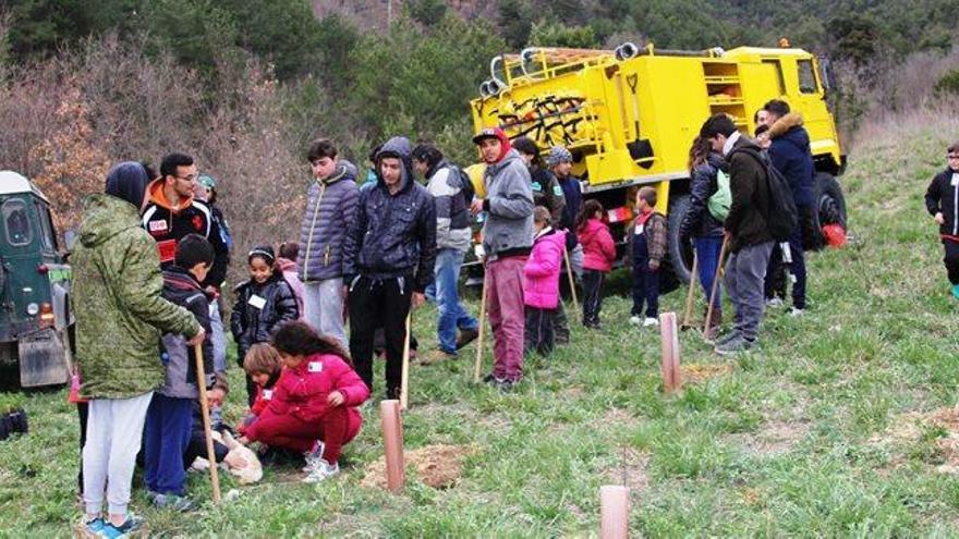 Quatre escoles del Solsonès replanten arbres en una antiga mina a cel obert