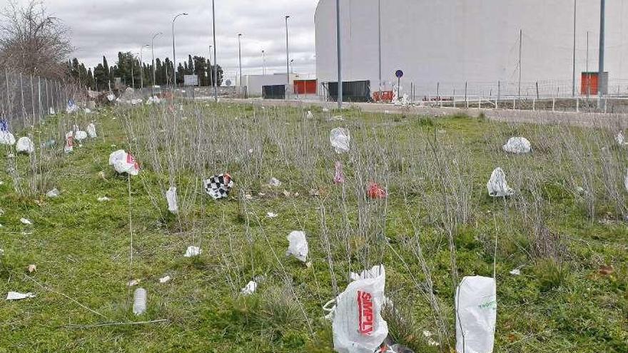 Restos de basura tras la fiesta de la Politécnica en 2017.