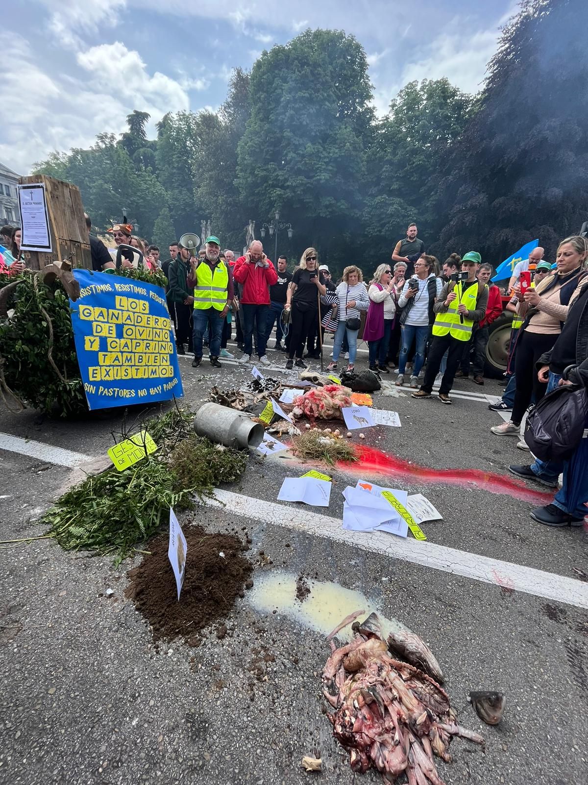 EN IMÁGENES: Así fue la tractorada de protesta del campo asturiano en Oviedo