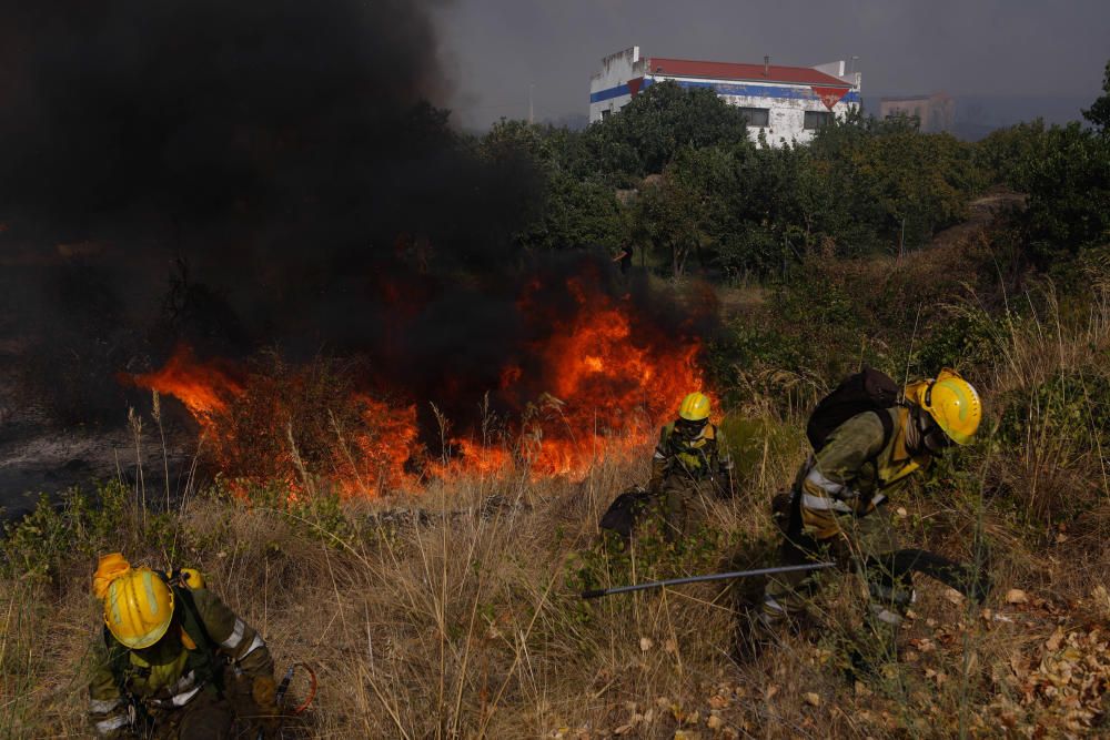 Incendio forestal Arribes