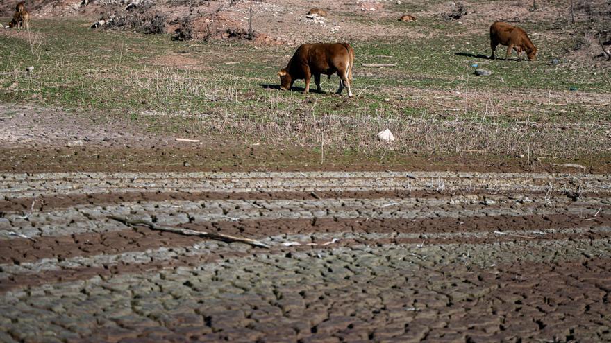 Quart paquet d&#039;ajuts per a l&#039;agricultura davant la sequera