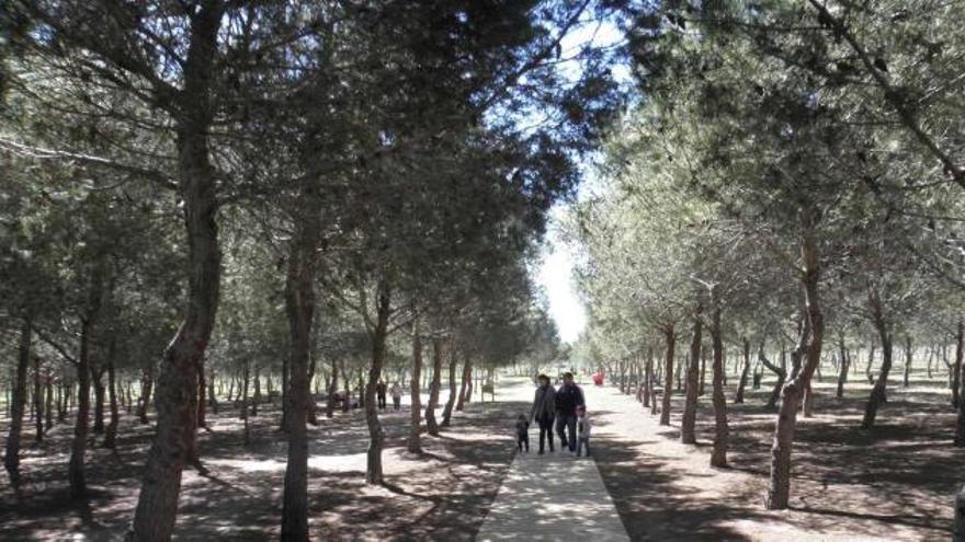 Más de 200 vecinos han pedido acampar en el nuevo parque Lo Albentosa en días de Pascua