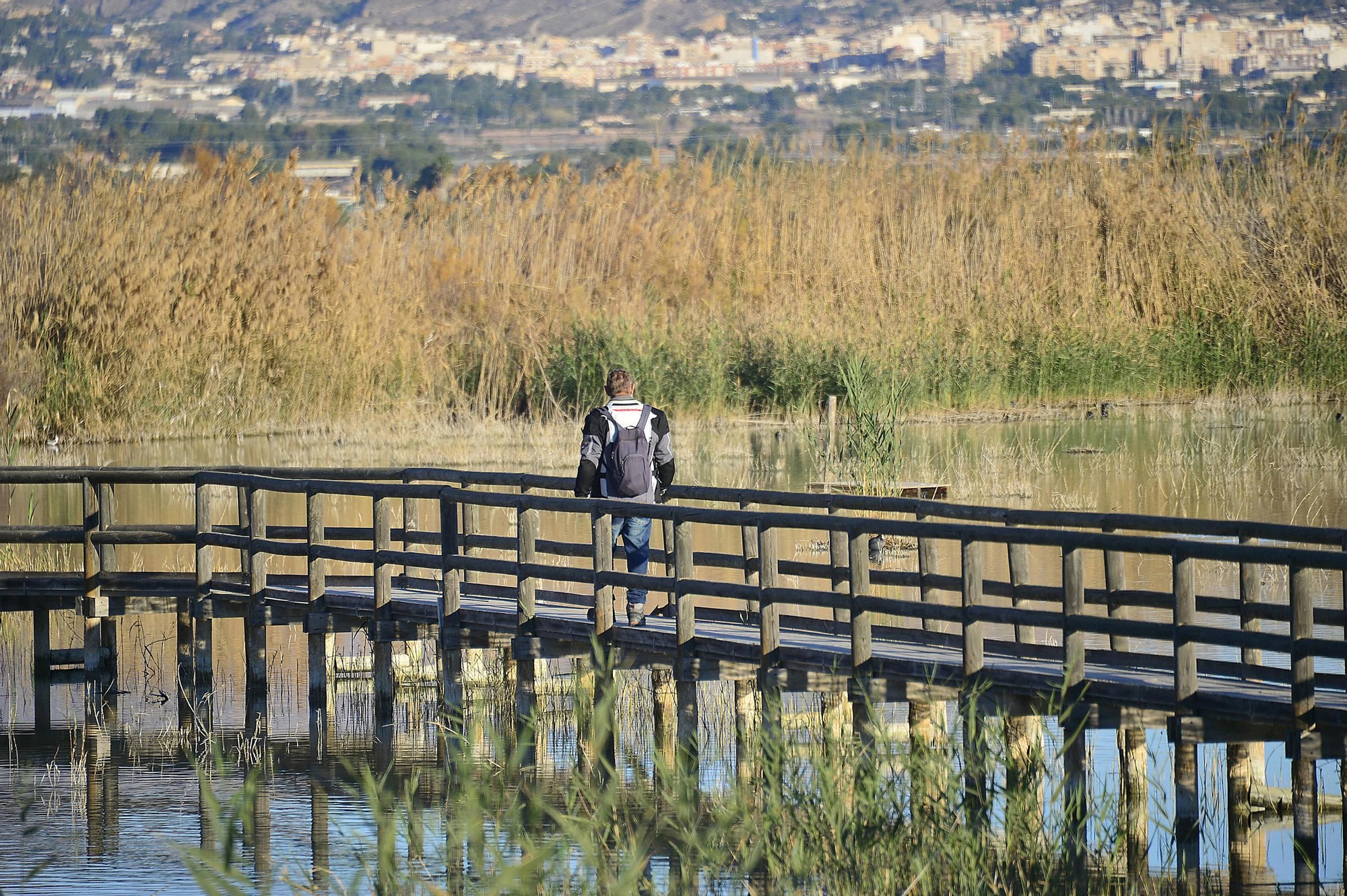RECOGIDA DE RESIDUOS Y RUTA ORNITOLÓGICA EN EL HONDO