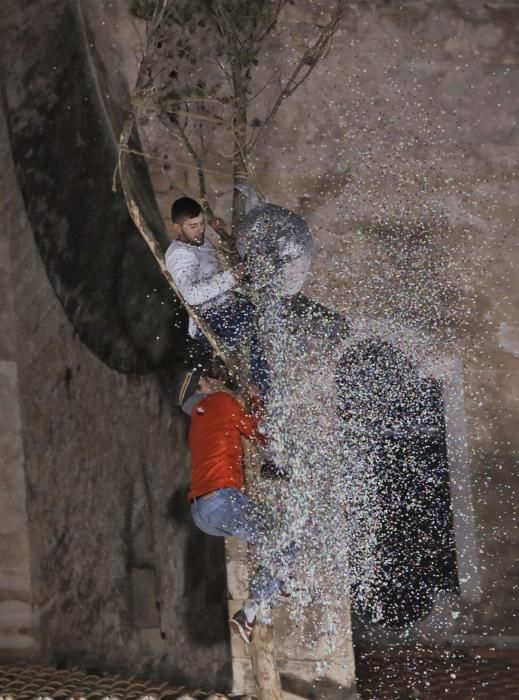 Auch dieser Brauch gehört zu Sant Antoni auf Mallorca: In Pollença wird ein eingeseifter Baumstamm erklommen. Sieger am Dienstag (18.1.) wurde trotz widriger klimatischer Bedingungen Sergi Gómez.