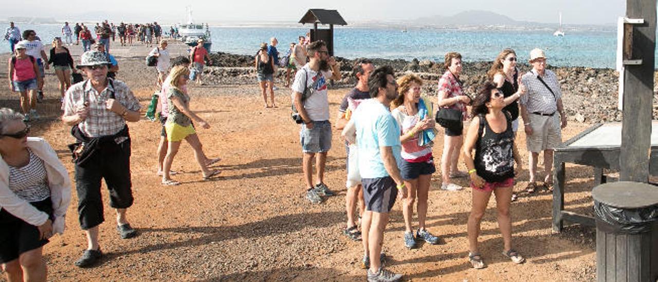 El plan rector de Lobos limita a 200 las visitas y ya se superan las 2.000 al día