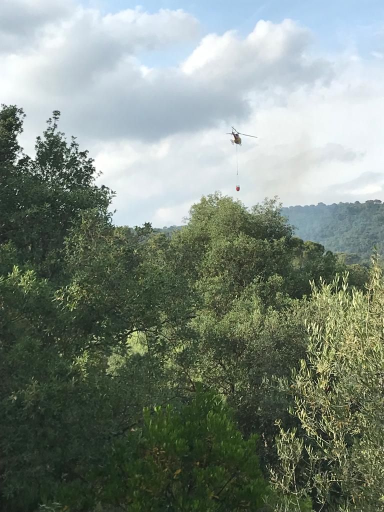 Un incendi crema una casa al cor de les Gavarres