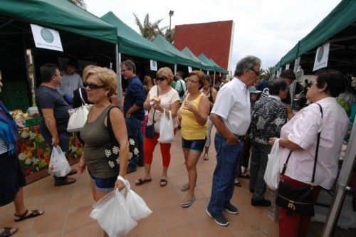 MERCADO AGRICOLA EN EL PARQUE DEL BARRIO DE EL PAGADOR