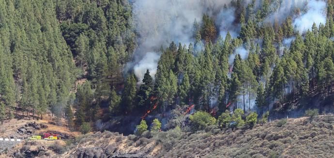 Incendio en Artenara (Gran Canaria)