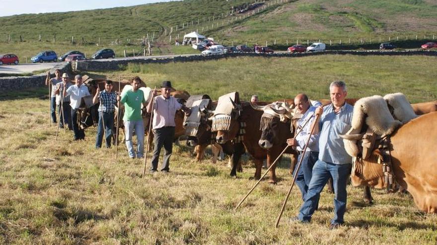 Germán Álvarez, de Santa Marina, gana el arrastre con bueyes de San Juan de Lendepeña - La Nueva España Germán Álvarez, de Santa Marina, gana el arrastre con bueyes de San Juan de Lendepeña - La Nueva España