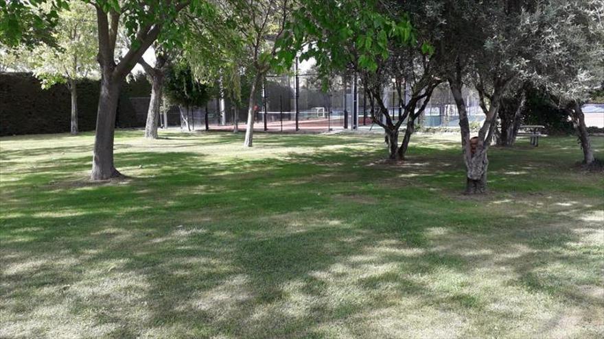 El césped de las piscinas y campo de fútbol, a punto