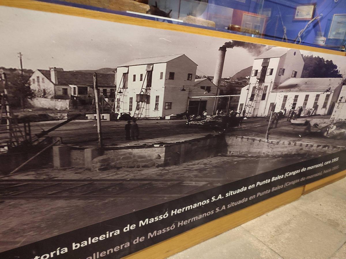 La sala dedicada a la caza de la ballena en el Museo Massó de Bueu