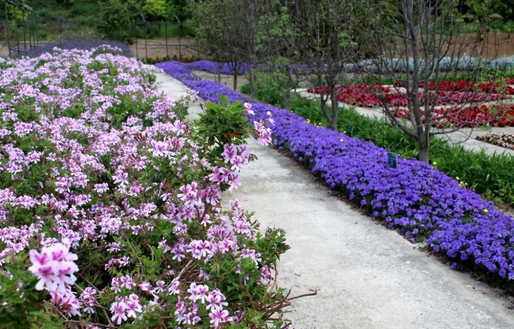 Floración en el Jardín de La Concepción.