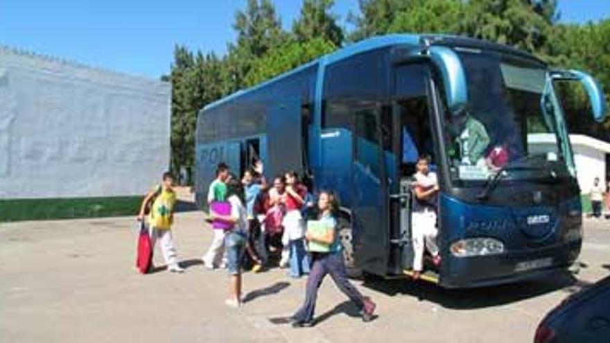 Parte del transporte escolar no está adaptado a las normas de seguridad