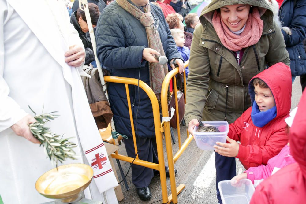 Fiesta de Sant Antoni en la ermita de vera