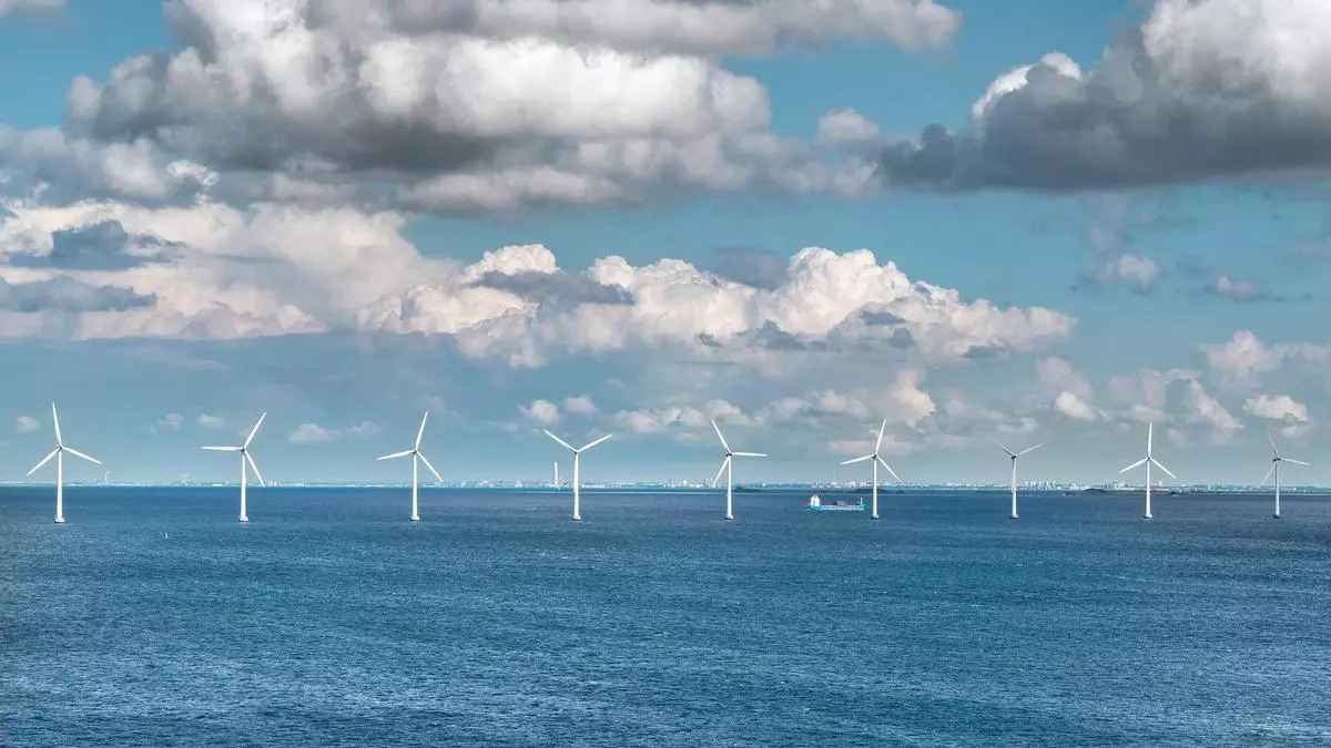 Las áreas idóneas para la energía eólica marina en España coinciden con zonas críticas para aves y cetáceos