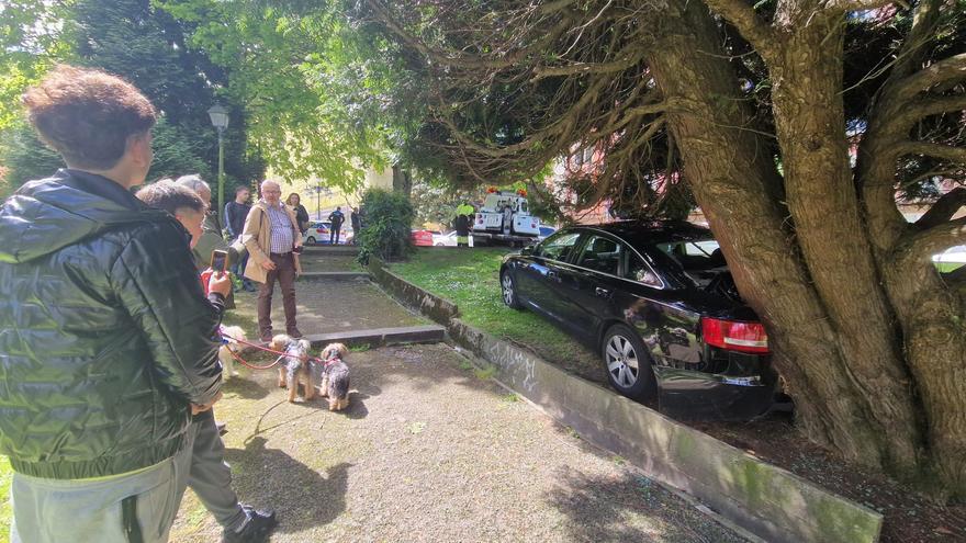 Un coche irrumpe por sorpresa en un parque de Oviedo: el vehículo invadió la acera y chocó contra un árbol