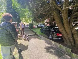 Un coche irrumpe por sorpresa en un parque de Oviedo: el vehículo invadió la acera y chocó contra un árbol