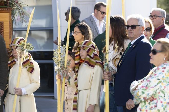 Aquí las imágenes de la Procesión de Las Palmas del Domingo de Ramos de Torrevieja 2026