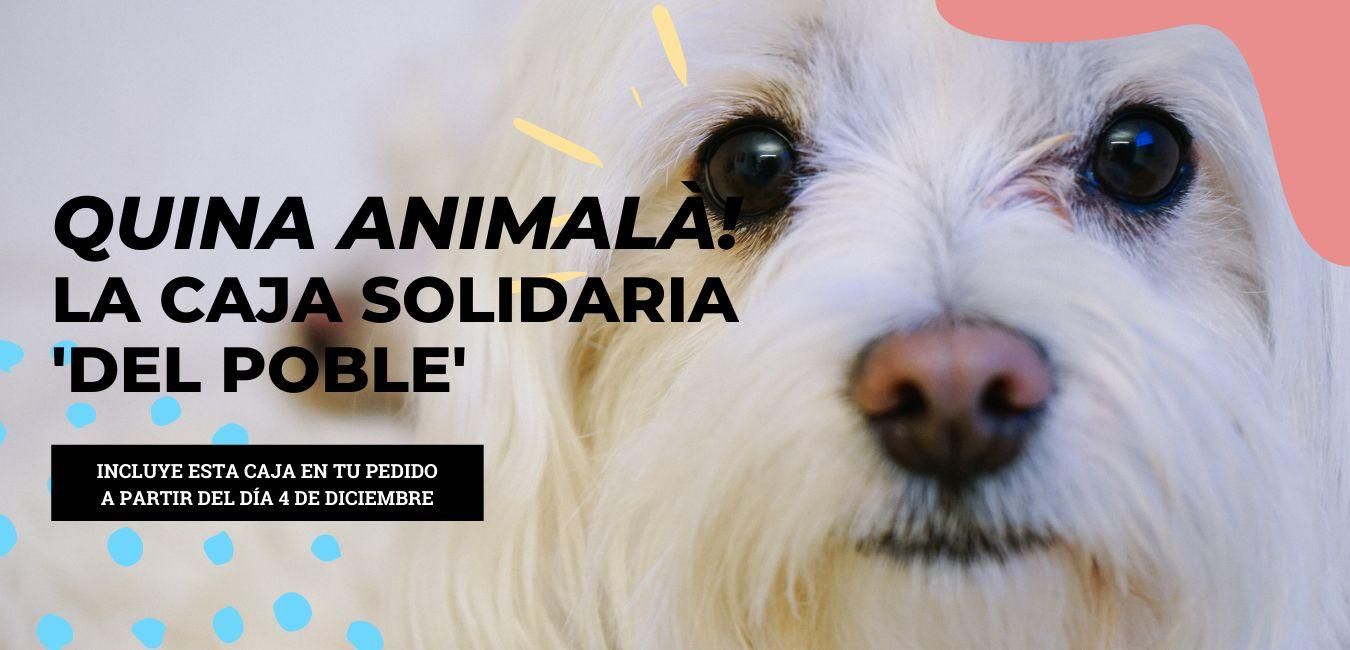 Los animales ilustrarán la campaña de Navidad de Del Poble pizzería.