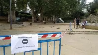 Acotan parte de la Fuente del Rey de Priego de Córdoba por posible desprendimiento de ramas
