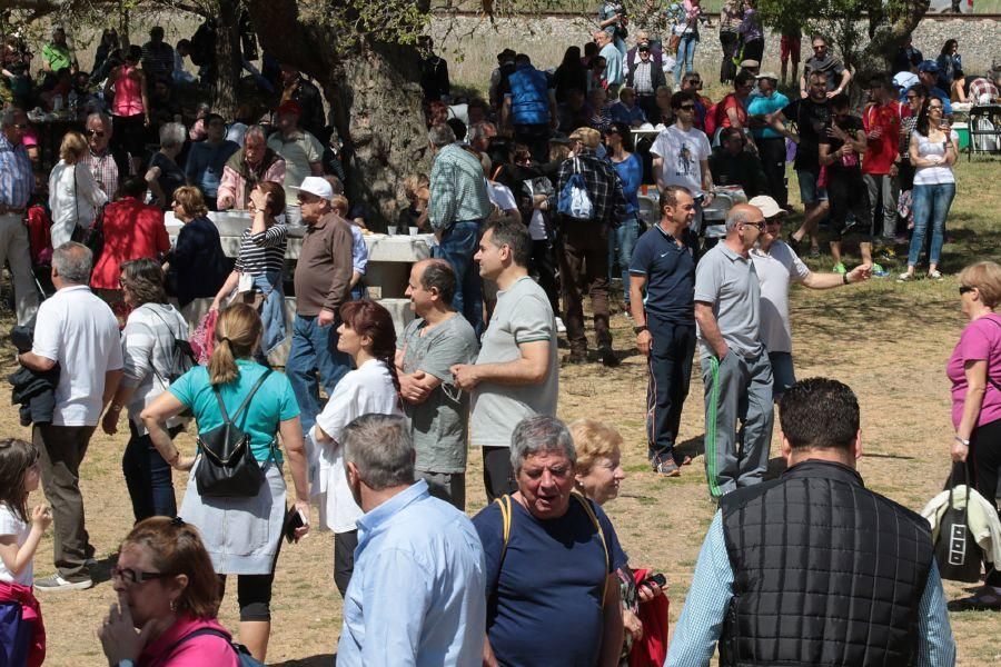 Romería de Valderrey en Zamora