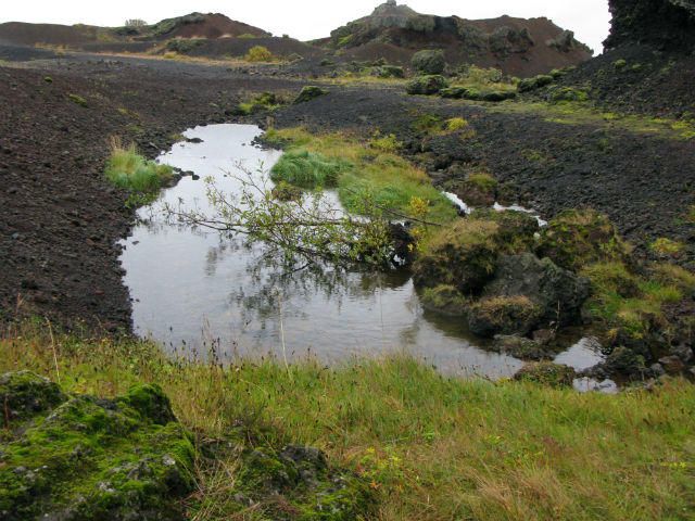 La exposición 'Tierra inundada' se puede ver en el MUA hasta el 24 de julio