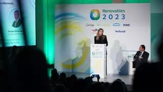 España repartirá 1.100 millones en ayudas directas entre la industria renovable