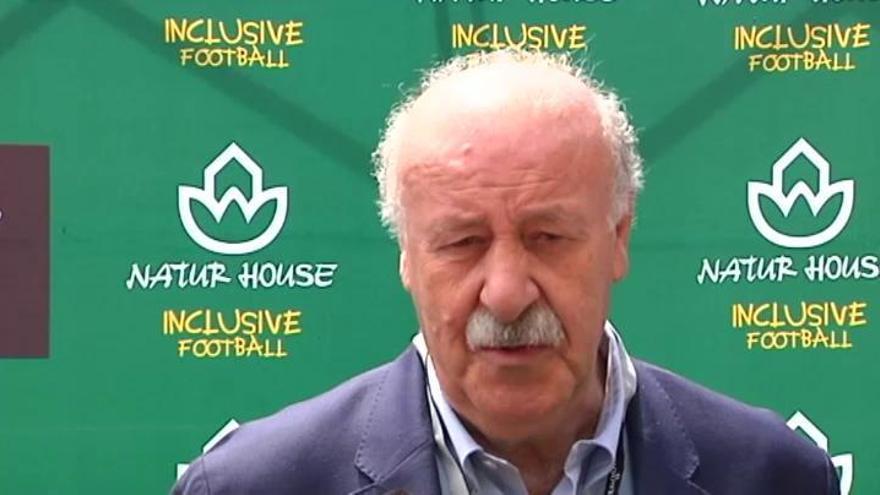 Del Bosque dice que nadie le ofreció ser secretario de Estado para Deporte