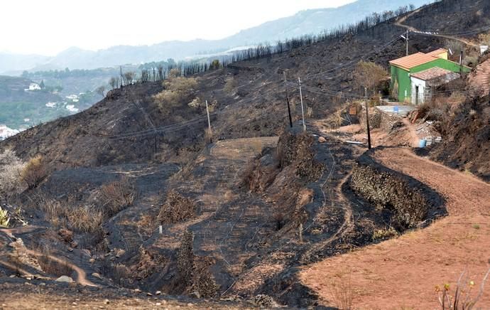 INCENDIO CUMBRE GRAN CANARIA