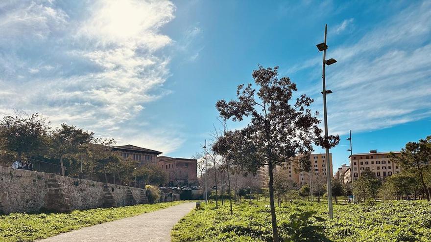 Nebel und Sonne: So wird das Wetter am Wochenende auf Mallorca